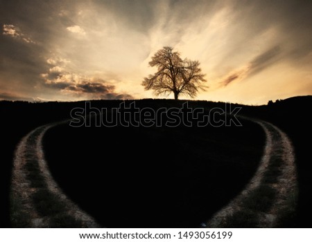 Similar – Foto Bild Wintersonne Baum Herbst