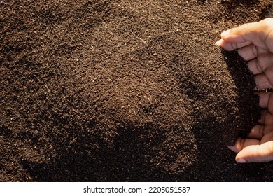 Soil or vermicompost for agriculture. - Shutterstock ID 2205051587