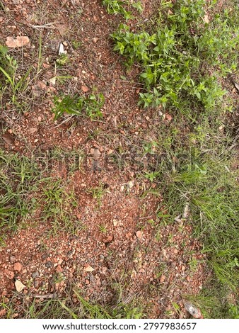 Soil view conclude of red mudstone gravel and spots of green grass