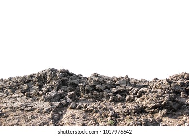 Soil white background - Shutterstock ID 1017976642