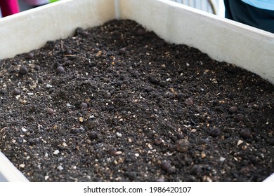 Soil In A Wooden Planter Box.