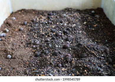 Soil In A Wooden Planter Box.