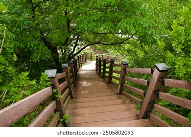 Sokcho City, South Korea - July 28th, 2024: Wooden stairs lead down from Yeonggeum Pavilion Observatory, winding through lush greenery and providing a peaceful pathway surrounded by nature. - Powered by Shutterstock