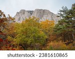 Sokcho, Gangwon-do, Korea. Autumn scenery seen on Seoraksan Mountain. Leaves dyed red. You can feel the autumn atmosphere in a forest full of trees. The towering rocky m