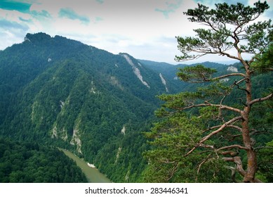 Sokolica. Pieniny National Park.