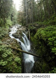 Sol Duc River Drops Into The Canyon Through Three Streams At Sol Duc Falls in Olympic National Park