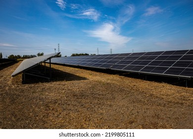 The Solar Array On The Field Of A Commercial Business, To Offset Energy Costs. 
Solutions For Farmers And Food Distributors.