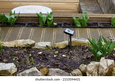 Solar Battery. Lamp. Garden. Path Lighting. Saving Energy At Home. Alternative Energy Sources In Everyday Life. Garden Path And Flower Bed.