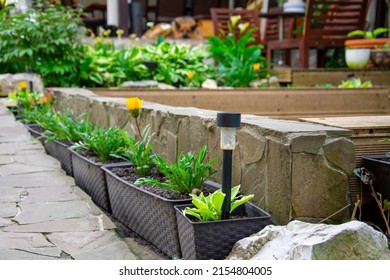 Solar Battery. Lamp. Garden. Path Lighting. Saving Energy At Home. Alternative Energy Sources In Everyday Life. Garden Path And Flower Bed.