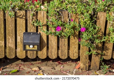 Solar Battery Lamp. Garden. Path Lighting. Saving Energy At Home. Alternative Energy Sources In Everyday Life. Garden Path And Flower Bed