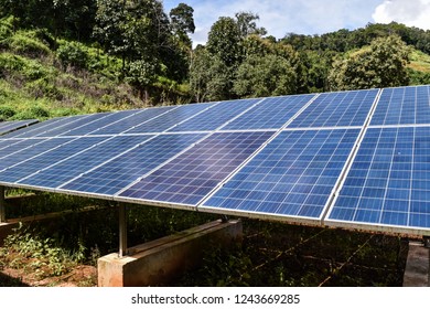 Solar Cell Solar Farm Forest Stock Photo 1243669285 | Shutterstock