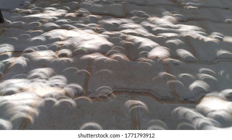 Solar Eclipse. Mysterious Shadow Made Formed In The Shade Of A Tree During Solar Eclipse. Amazing Earth Facts.