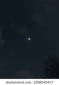 Solar Eclipse in Twenty Twenty-four