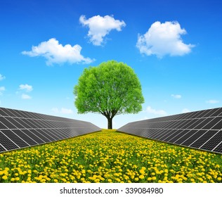 Solar energy panels and tree on dandelion field. Clean energy.