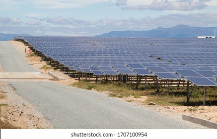 Solar Farm Is Mounted Above The Ground And Grass, Has Site Road. The PV Orientation Face To Absorb Energy From Sunlight And Produce Electricity. 