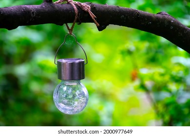 A Solar Hanging LED Light Cracked Glass Ball On The Branch