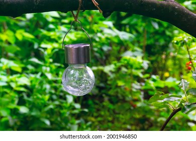 A Solar Hanging LED Light Cracked Glass Ball On The Branch