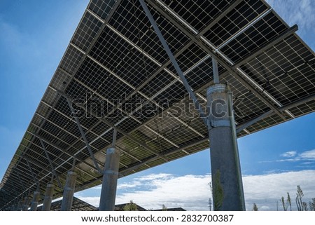 Solar Panel Array Mounted on Support Structures Outdoors