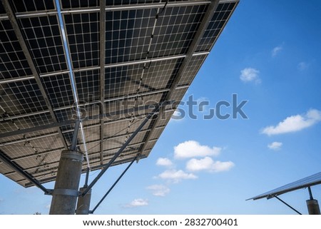 Solar Panel Array Mounted on Concrete Poles Under Clear Sky