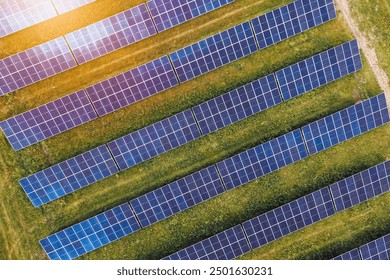 Solar Panel Array in Sunlit Grass Field