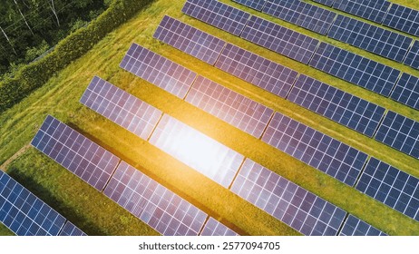 Solar Panel Farm Generating Renewable Energy