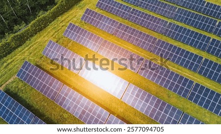 Solar Panel Farm Generating Renewable Energy