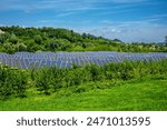 Solar panel park installed in vegetation in the hills in Piedmont, Italy 