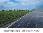 solar panels in agriculture farm land. Solar panels for irrigation systems in farm fields in countryside. Growing crops with rows of renewable energy in a field on a sunny day.