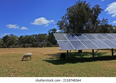 Solar Panels In Animals Farm In The Outback Of Western Australia.