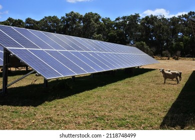 Solar Panels In Animals Farm In The Outback Of Western Australia.