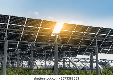 Solar panels array under bright sunlight in agricultural area