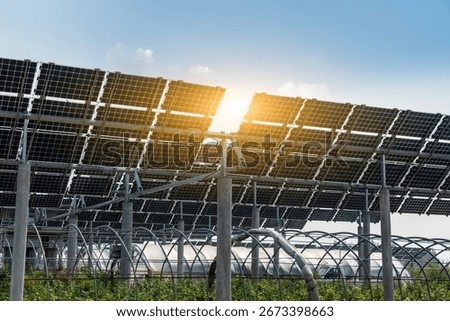 Solar panels array under bright sunlight in agricultural area