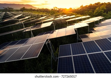 Solar Panels (solar Cell) In Solar Farm With Blue Sky And Sun Lighting.