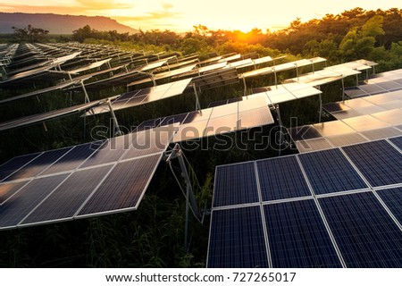 Solar panels (solar cell) in solar farm with blue sky and sun lighting.