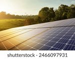 solar panels and green nature, renewable energy. sustainable energy to businesses, homes, and smart city. new generation of power. clean and environmental friendly.