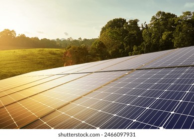 solar panels and green nature, renewable energy. sustainable energy to businesses, homes, and smart city. new generation of power. clean and environmental friendly. - Powered by Shutterstock