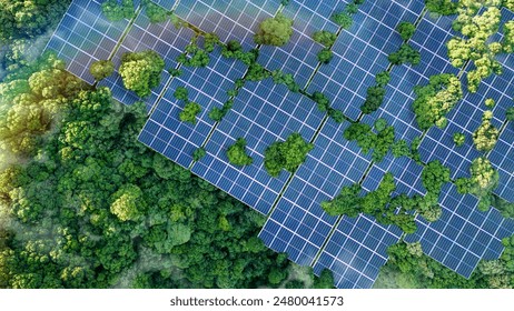 Solar panels installed in the green forest Clean alternative energy concept. Environment, solar energy, generator. - Powered by Shutterstock