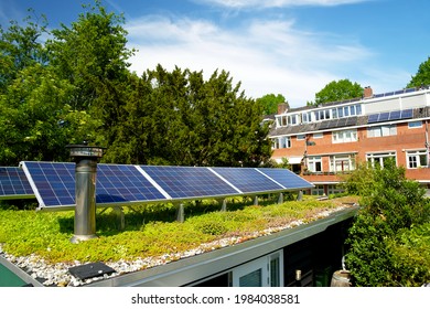 Solar panels on a green roof with flowering sedum plants - Shutterstock ID 1984038581