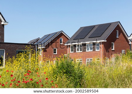 Solar panels on the roof of new built houses in The Netherlands collecting green energy from the sun in a modern and sustainable way. New technology on Dutch houses surrounded by nature, poppy flowers