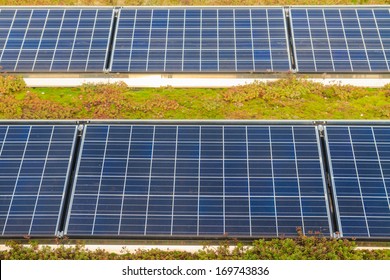 Solar Panels On Roof (with Green Garden)