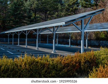 Solar panels used to cover spaces in paved rural parking lot.