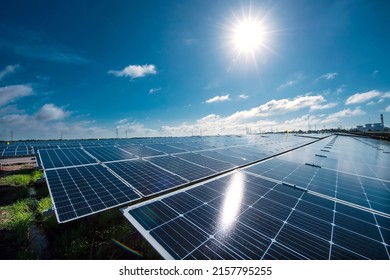 Solar panes in a solar park used for clean energy production. Solar panel under blue sky with sun. Green grass and cloudy sky. Alternative energy concept to reduce global warming and climate change