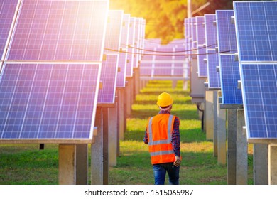 Solar Power Plant,engineers Walking In The Solar Energy Panels,Technician With Field Of Solar Panels