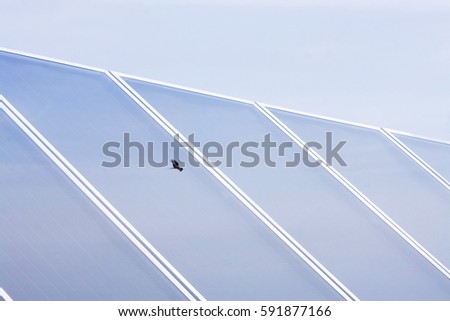 A solar system generates electricity and heat Stock photo © 