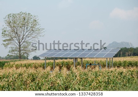 Solarcell panel with Corn field.
