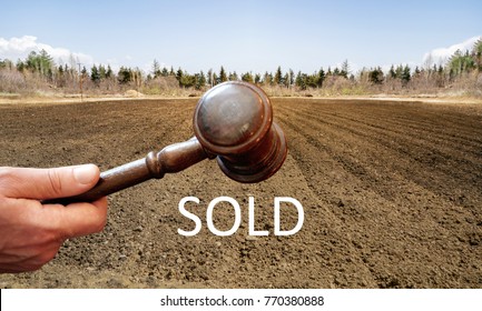 Sold a land.Wooden gavel in the hand on the land background and writing sold