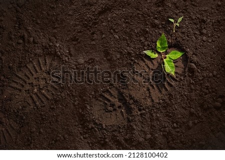 soldier boot print on plowed ground, broken green plant, attack, war, border trespass concept