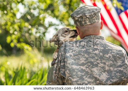 Soldier with military dog outdoors on a sunny day