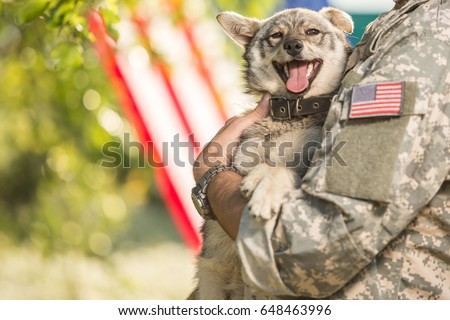 Soldier with military dog outdoors on a sunny day with american flag on the background