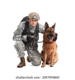 Soldier With Military Working Dog On White Background